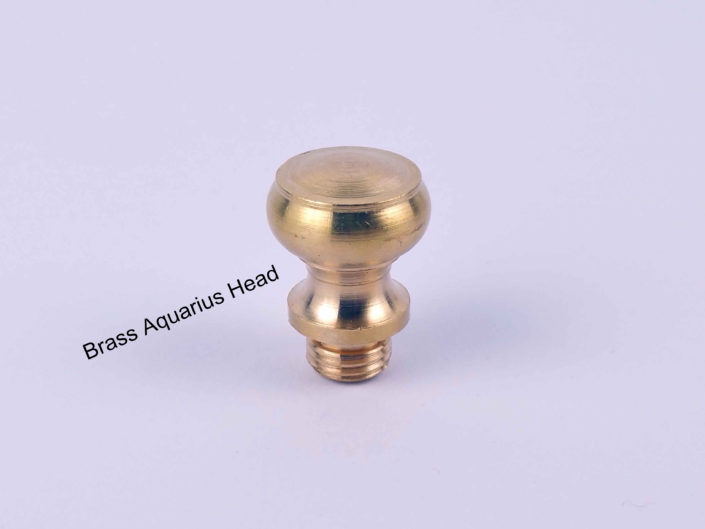 Door Hinge Brass Heads: #AquariusHead