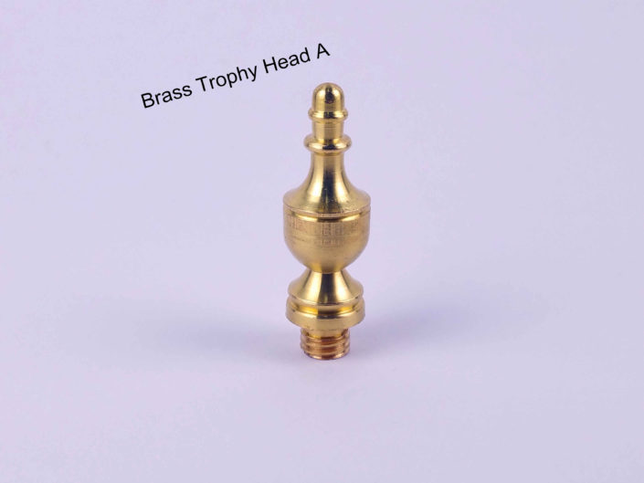 Door Hinge Brass Heads: #TrophyHeadA