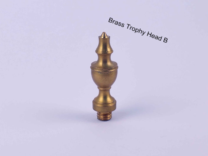 Door Hinge Brass Heads: #TrophyHeadB